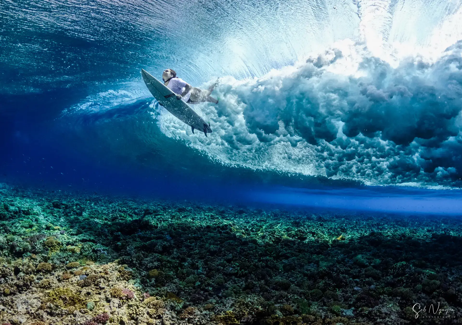 Bleu canard – Gauche de Dumbéa