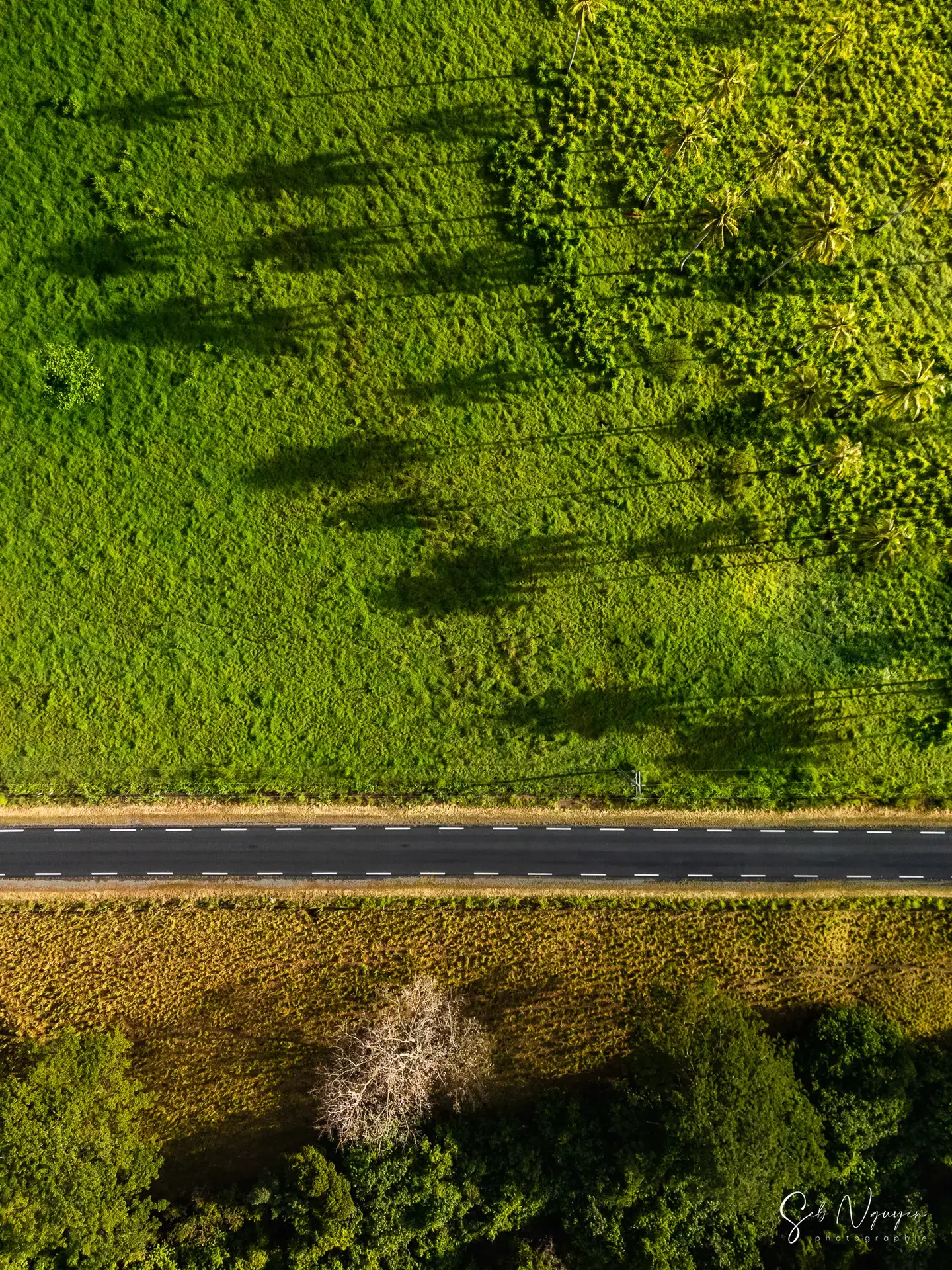 Le gabé – Bourail