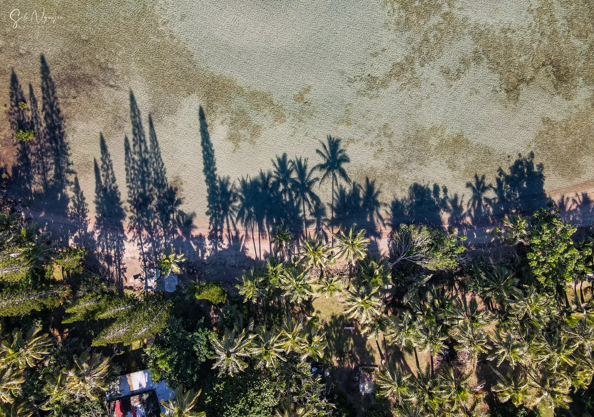 Morning vibes – Mont Dore