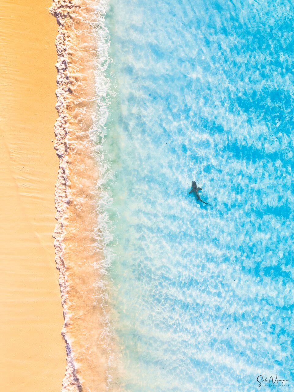 En bonne compagnie – 3