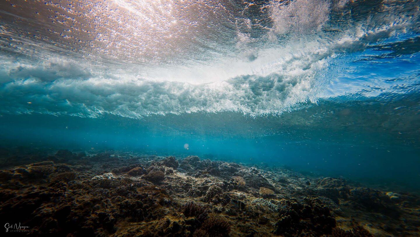 Sous la surface – Passe de Dumbéa (3)